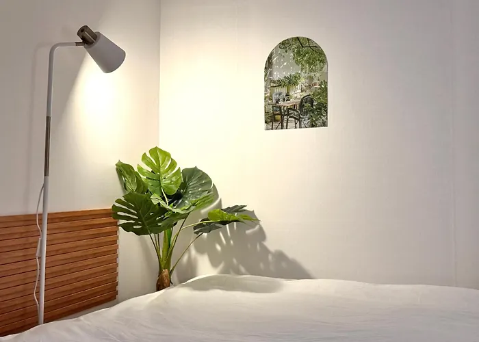 B&B 情 서울특별시